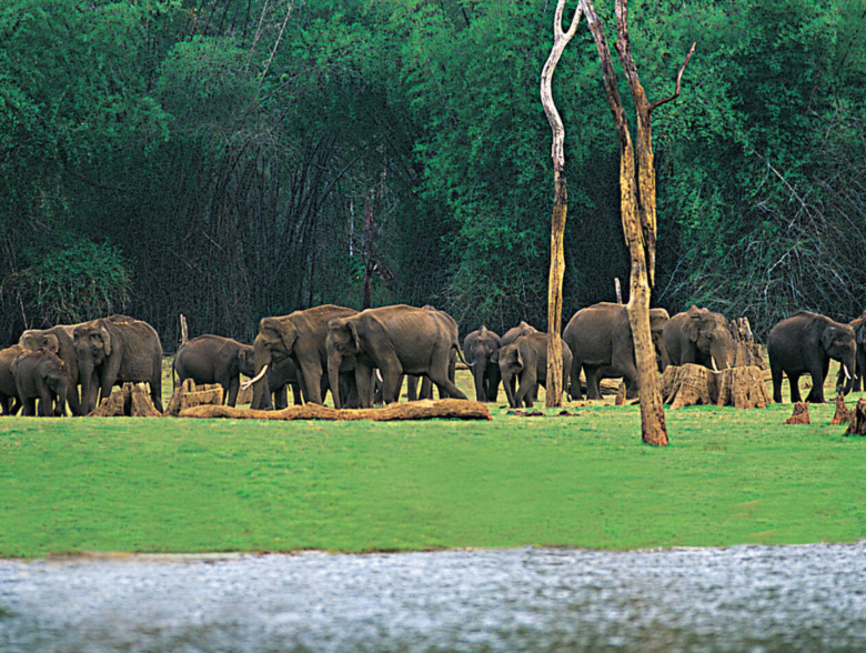 adventure tourism in thekkady kerala