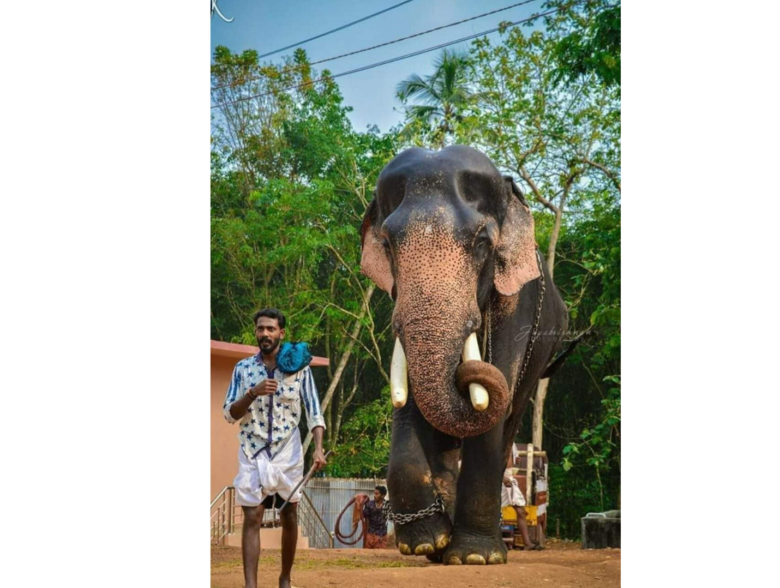 Cherupulasserry Rajasekharan