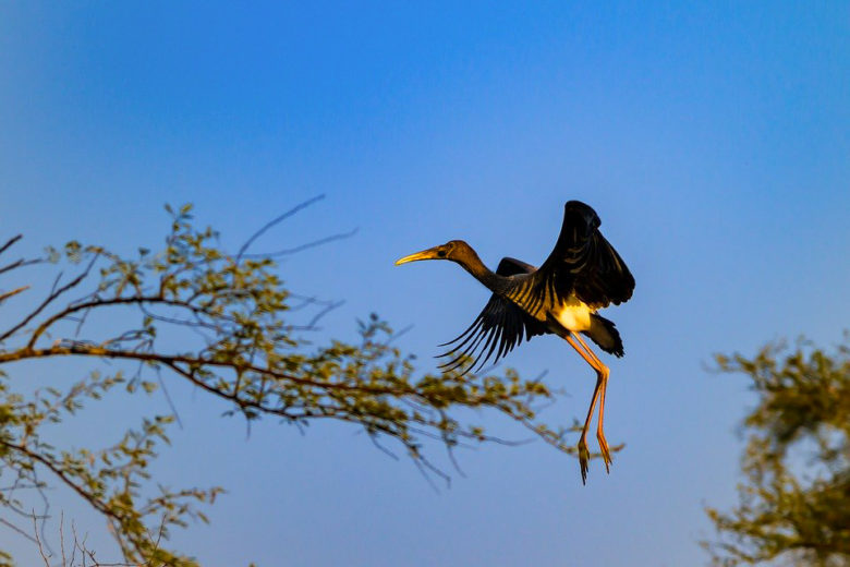 pooyamkutty tourist places