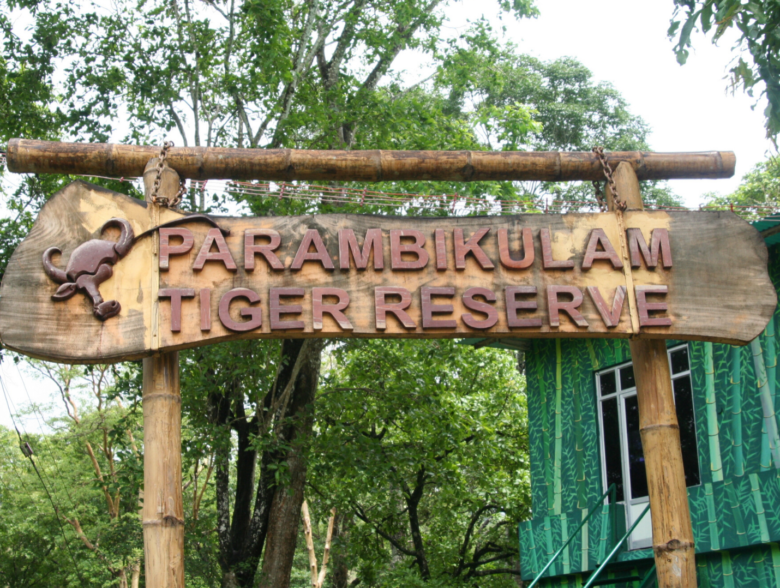 Parambikulam Wildlife Sanctuary Near Palakkad India